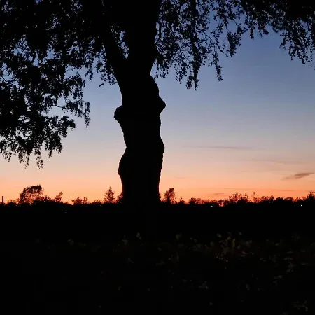 Birkelund オテルプ