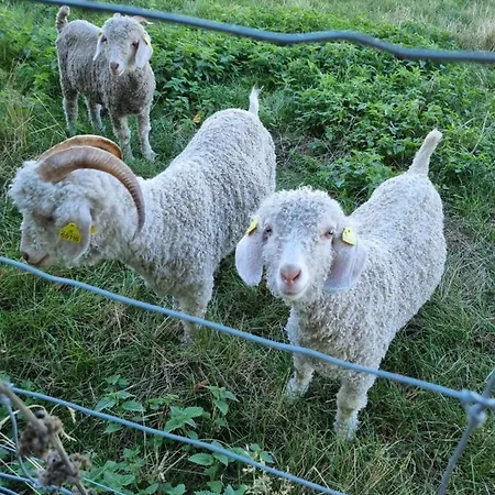 Birkelund ベッド・アンド・ブレックファスト オテルプ