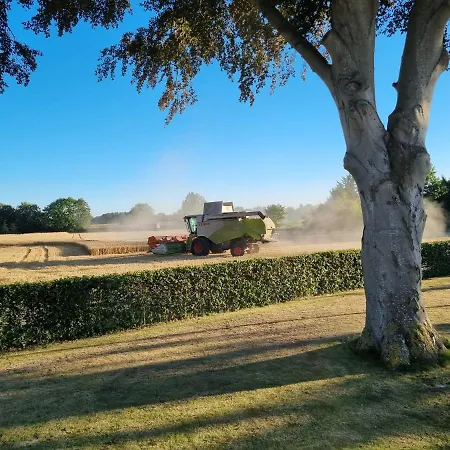 Birkelund ベッド・アンド・ブレックファスト オテルプ