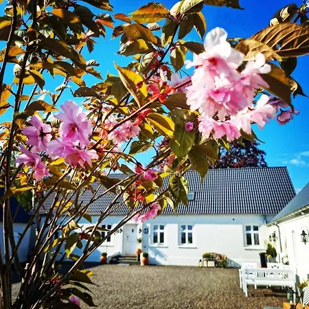 Birkelund * オテルプ