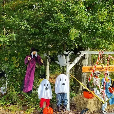 ベッド・アンド・ブレックファスト Birkelund オテルプ